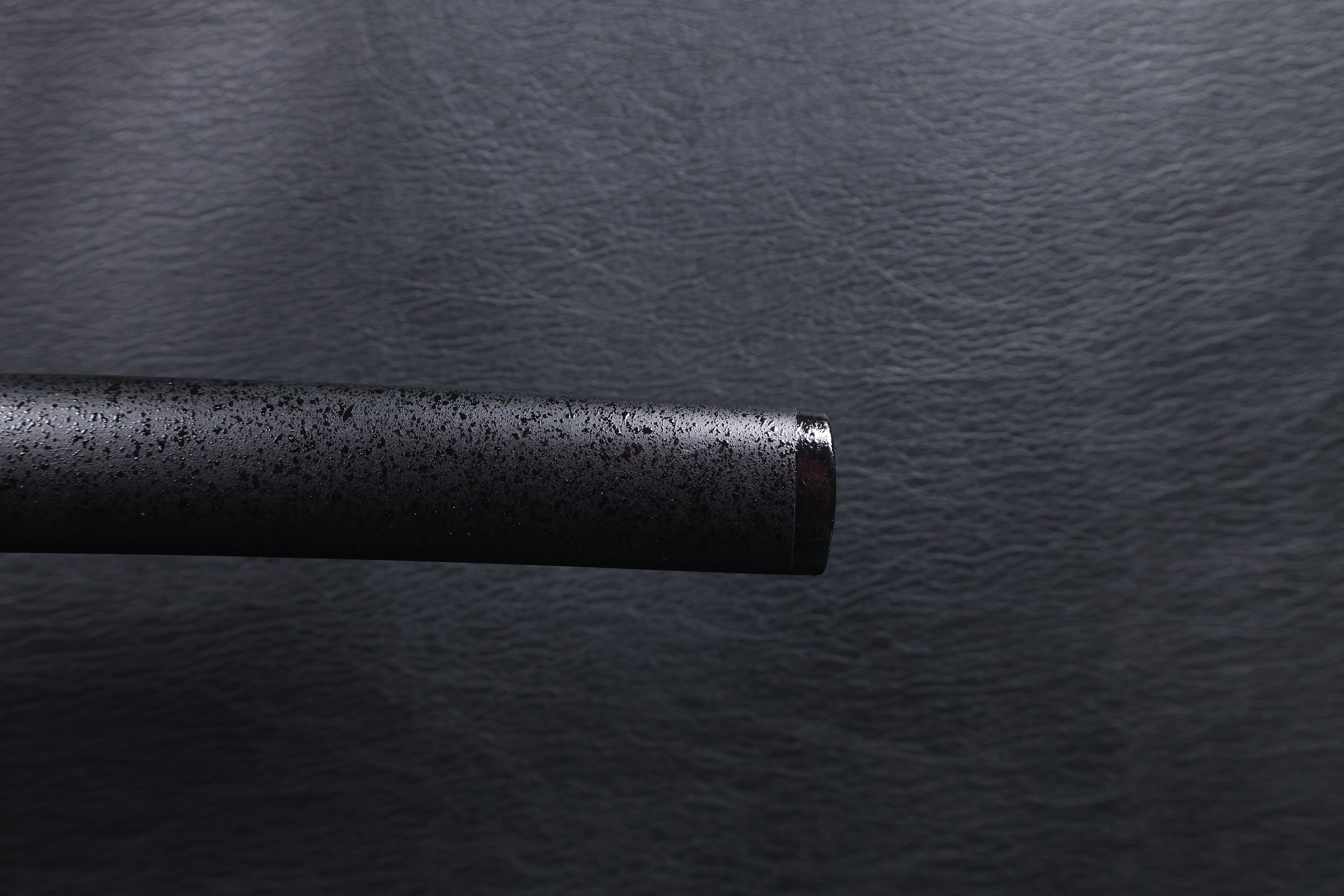 Katana Storm Tiger Spring Steel Black Saya Genuine Rayskin
