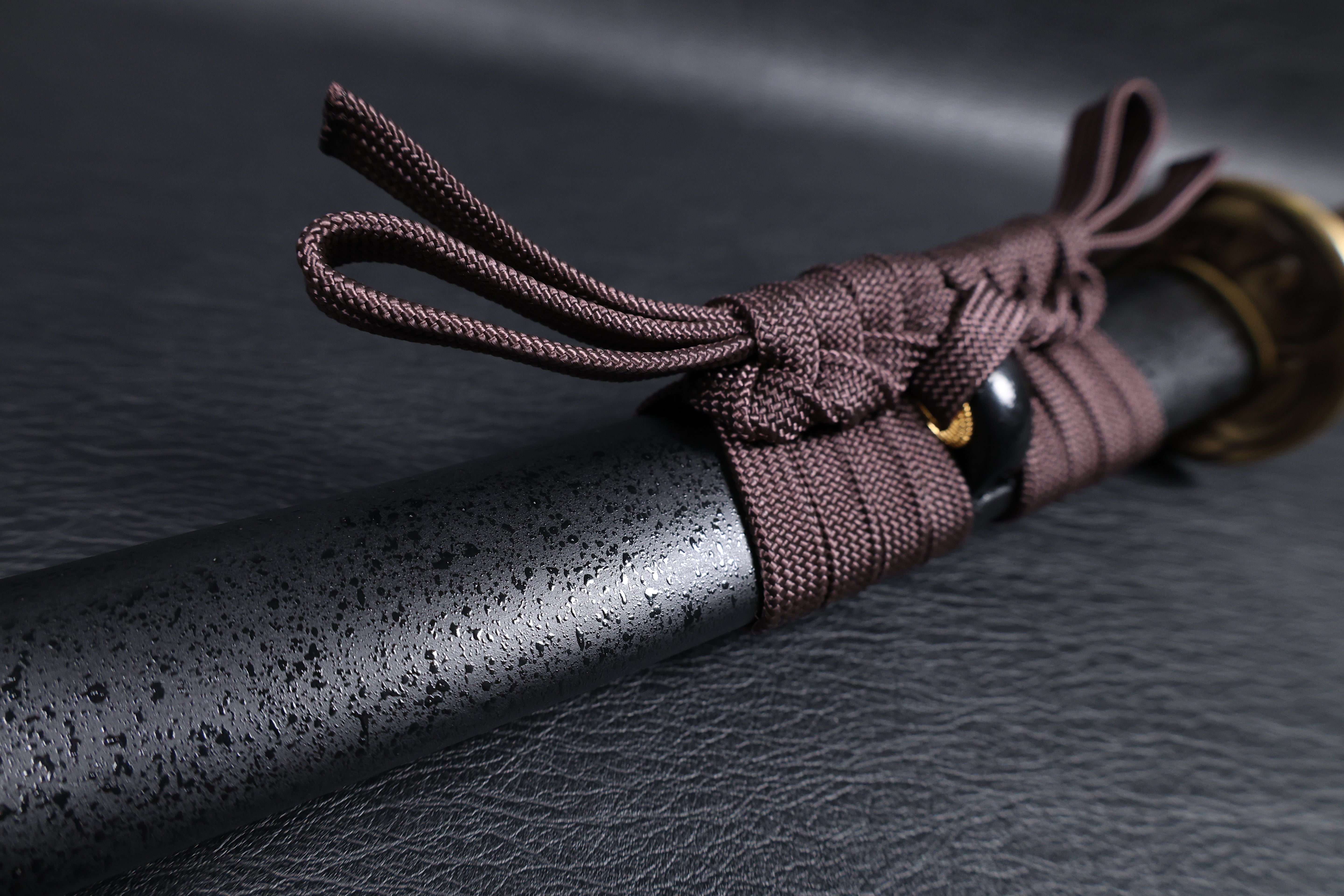 Katana Storm Tiger Spring Steel Black Saya Genuine Rayskin