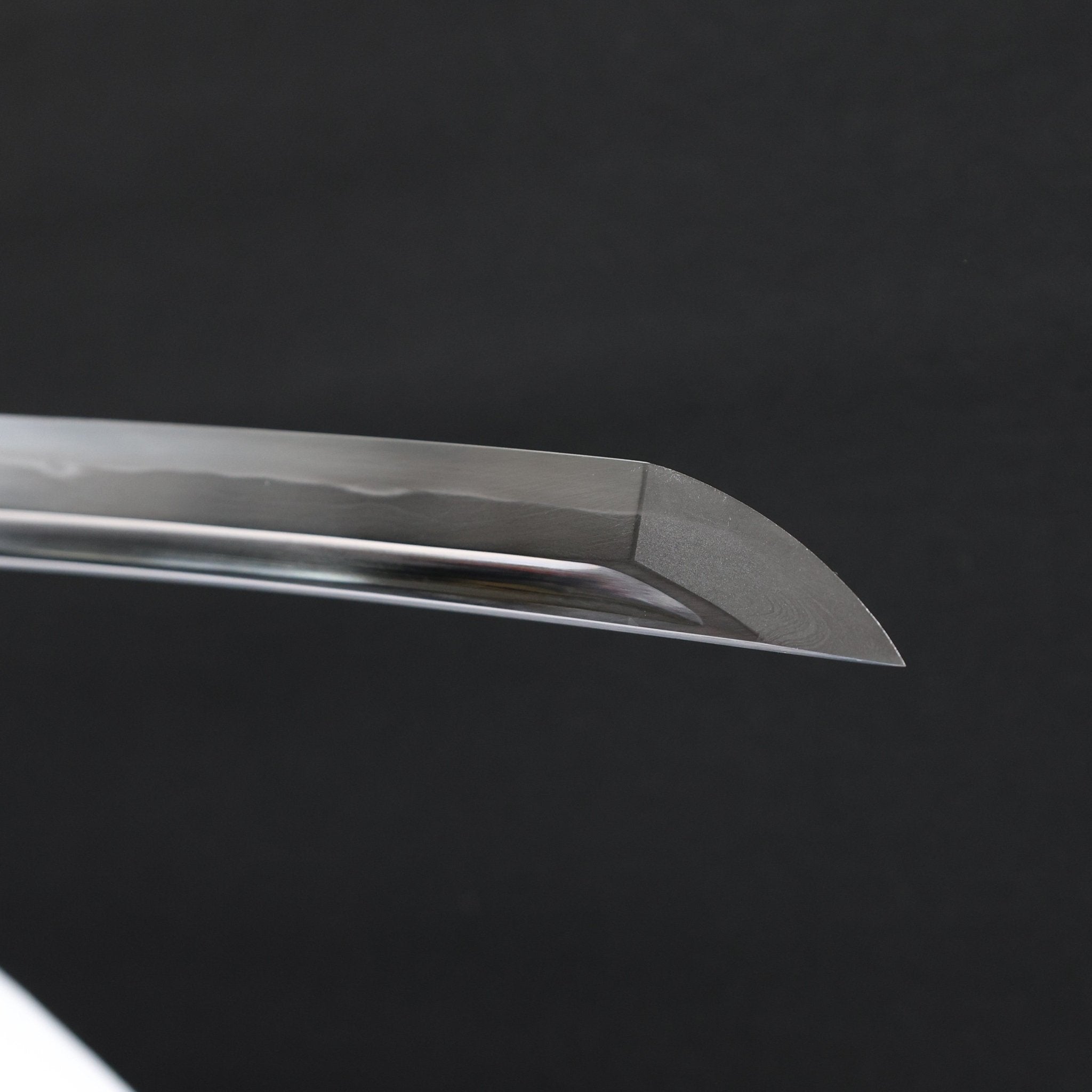 Katana Dragon Current Sanmai Blade Seiryū Koshirae 龍瀞 | TangGu Sword United States 2026