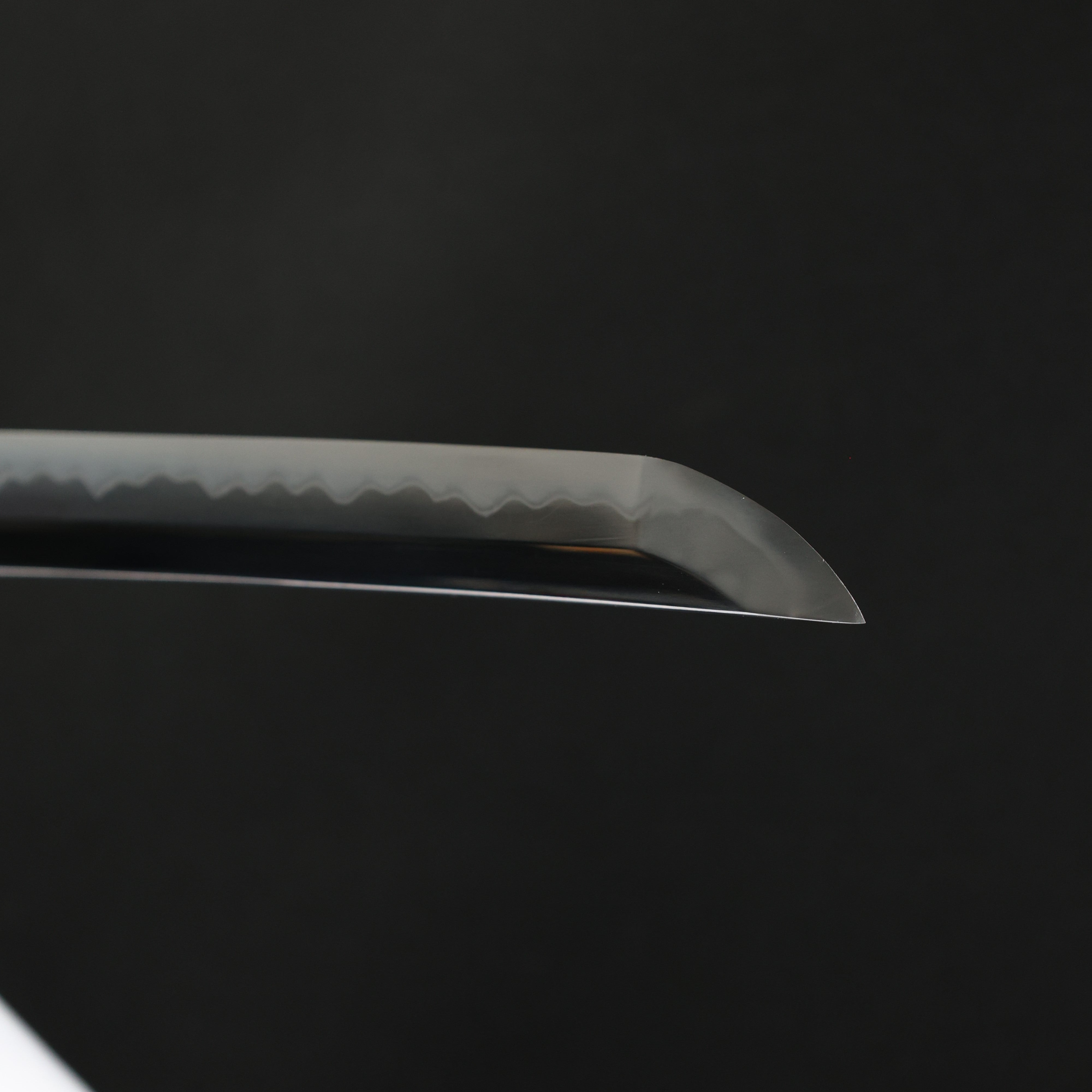 Katana Black Wave Maru Blade Kuronami Koshirae 黒浪 | TangGu Sword