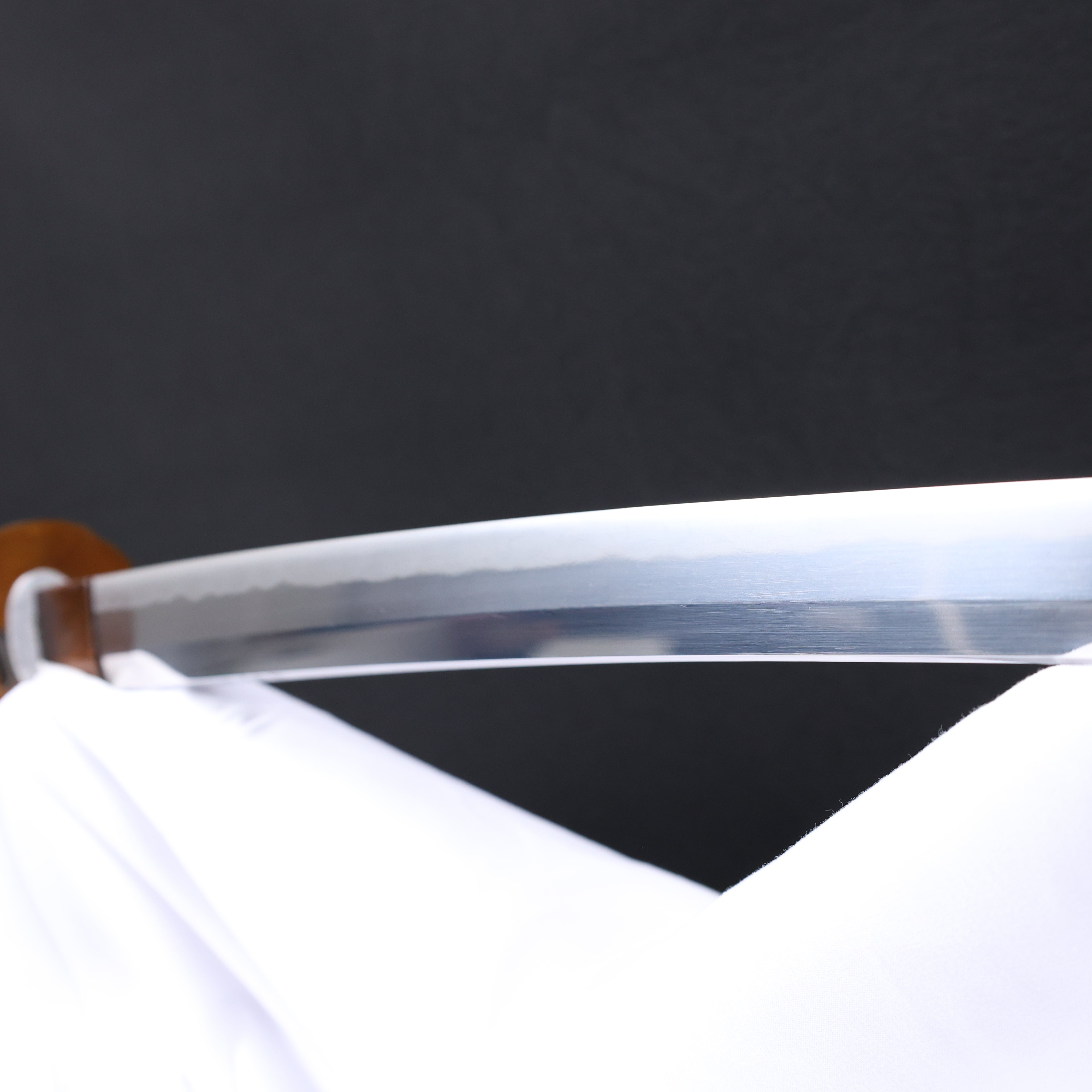 Katana Blazing Sun Oroshigane Kobuse Blade Jojaku Koshirae 炎陽 | TangGu Sword 2