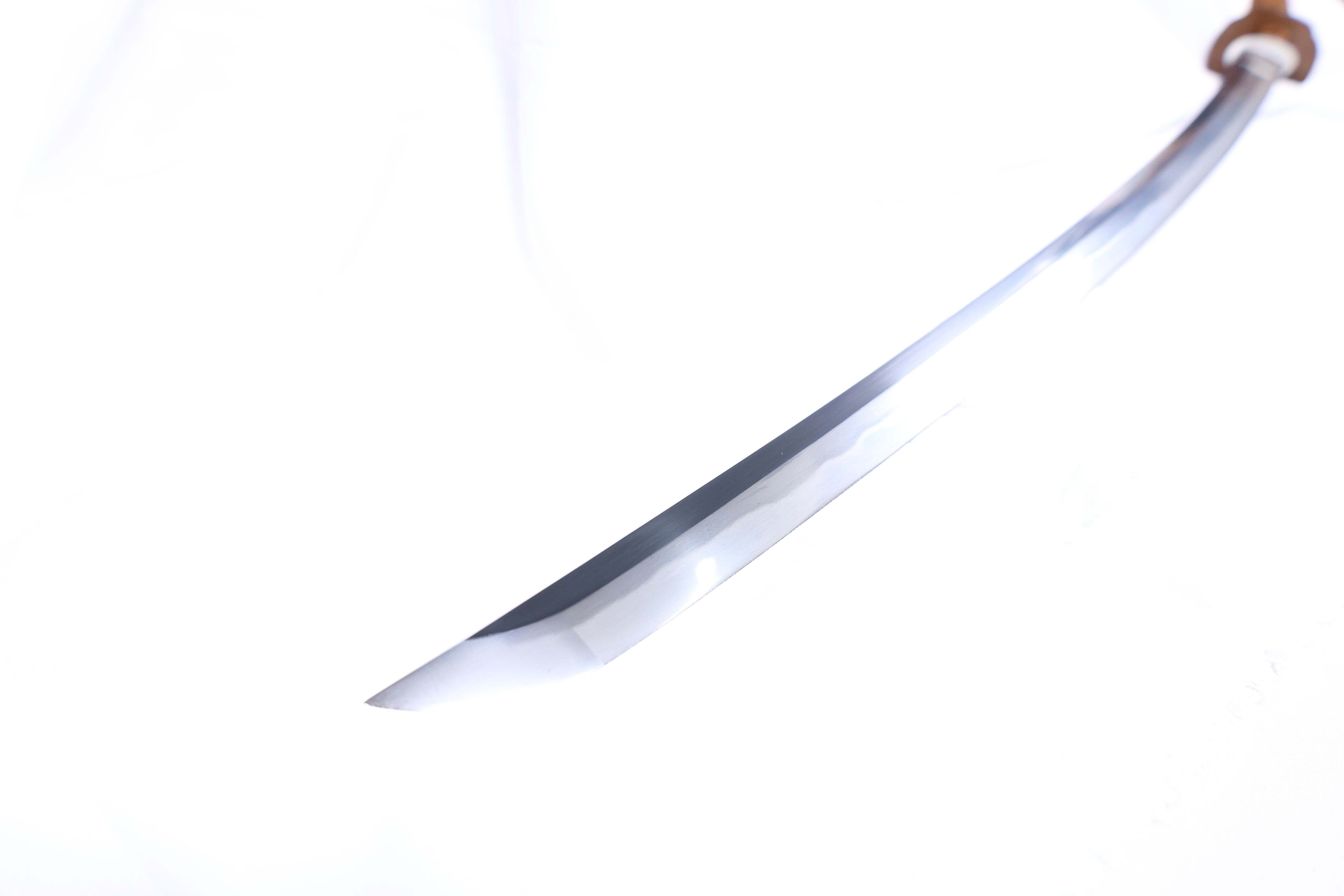 Katana Blazing Sun Oroshigane Kobuse Blade Jojaku Koshirae 炎陽 | TangGu Sword 2