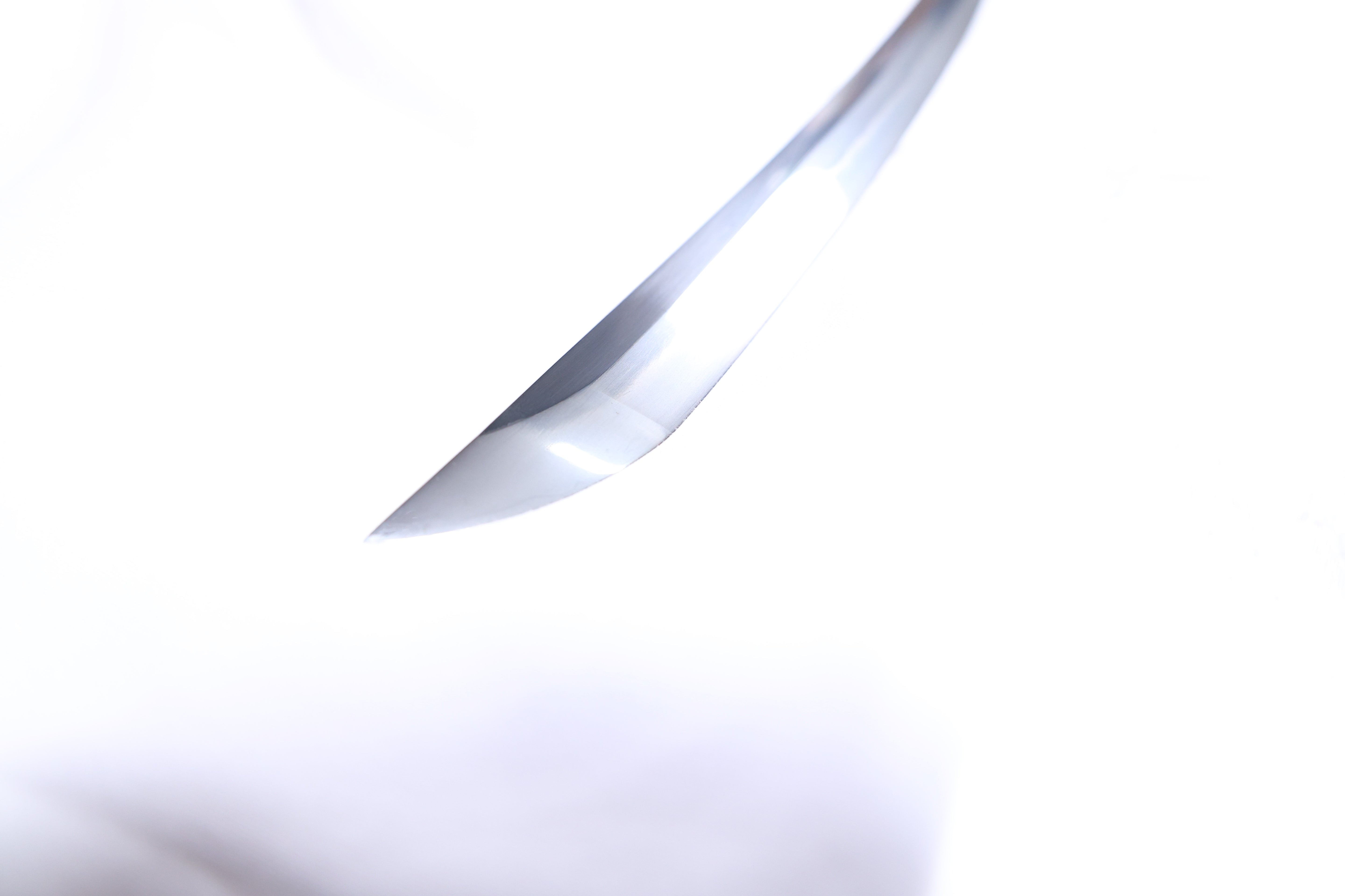 Katana Blazing Sun Oroshigane Kobuse Blade Jojaku Koshirae 炎陽 | TangGu Sword 2