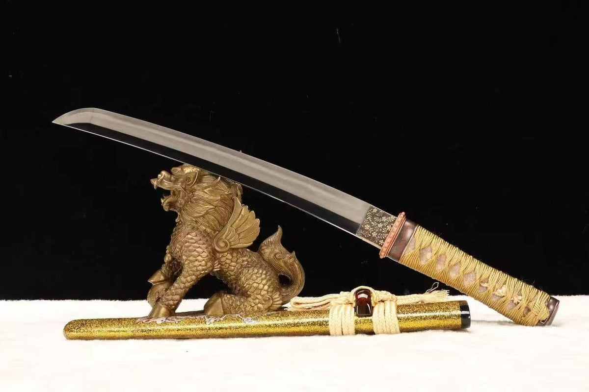 Tanto Sword WuJin T10 High Carbon Steel Clay Tempered | KatanaSwordArt Tanto For Sale 2026