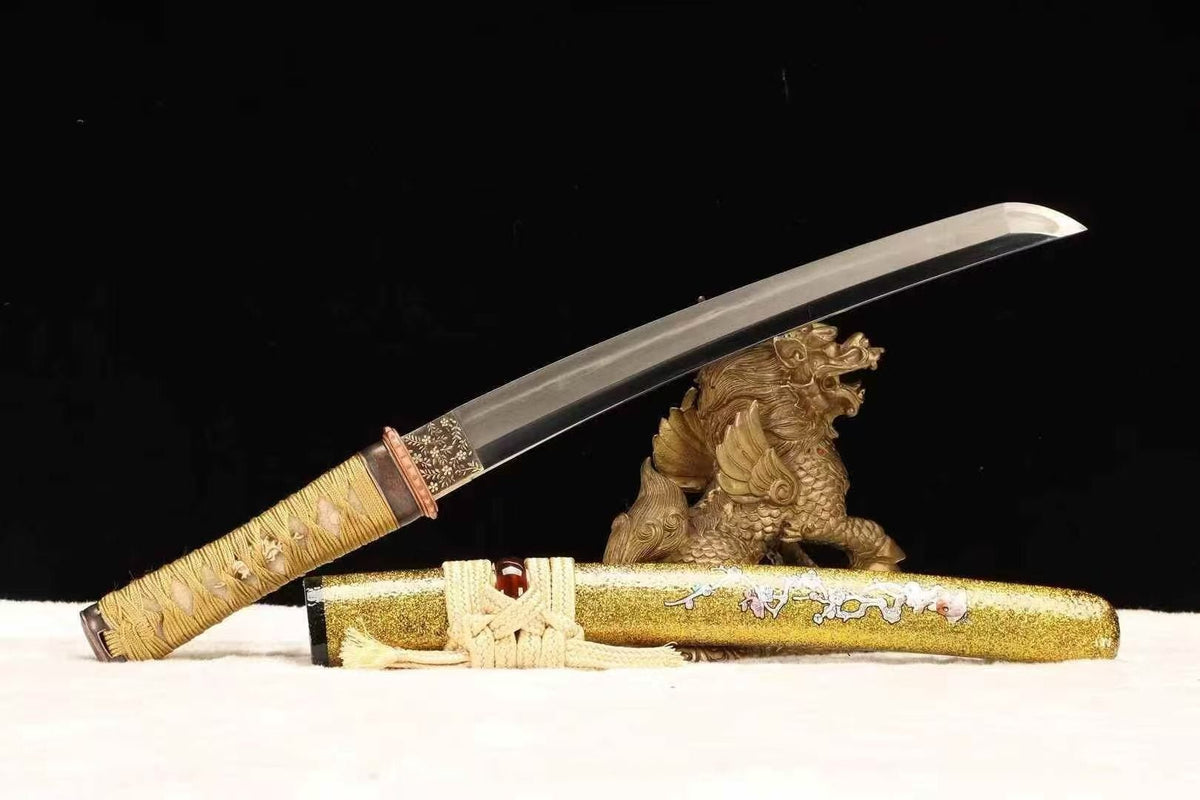 Tanto Sword WuJin T10 High Carbon Steel Clay Tempered | KatanaSwordArt Tanto For Sale 2026