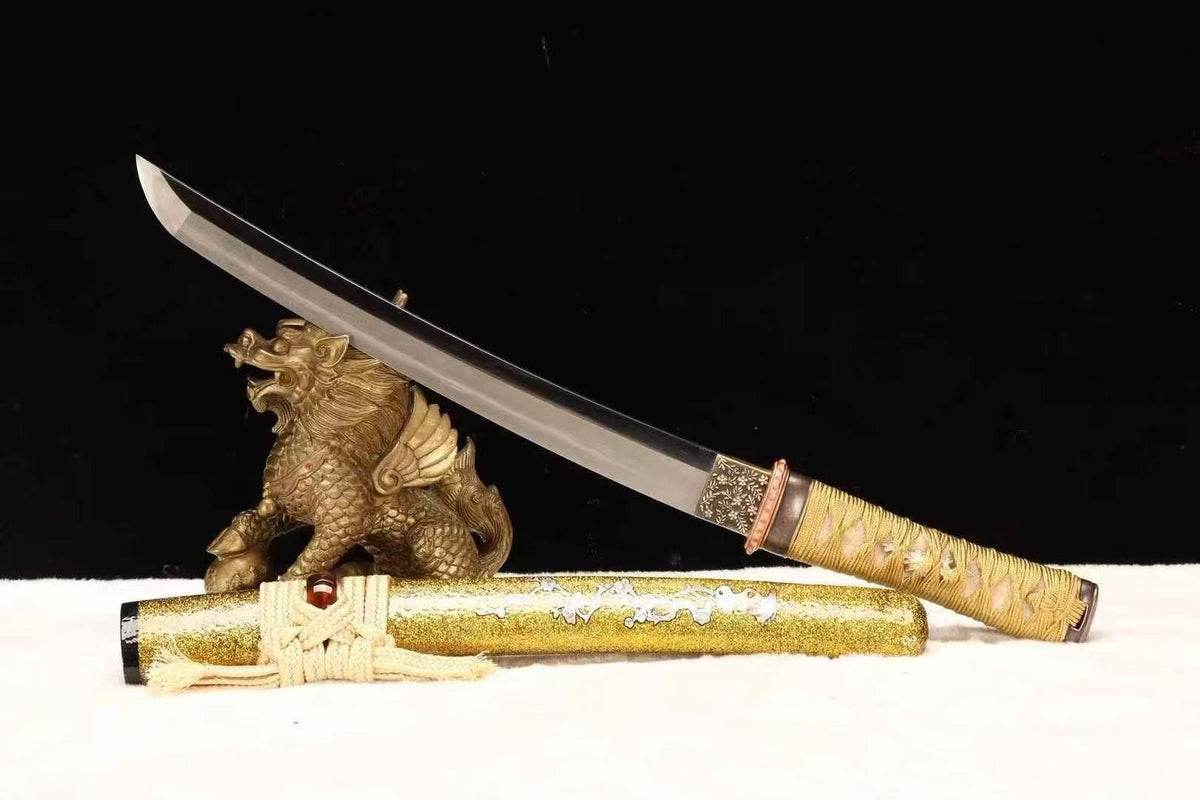 Tanto Sword WuJin T10 High Carbon Steel Clay Tempered | KatanaSwordArt Tanto For Sale 2026