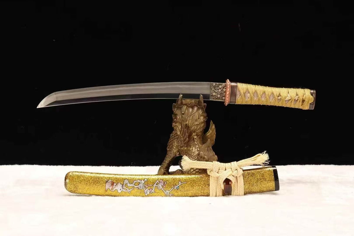 Tanto Sword WuJin T10 High Carbon Steel Clay Tempered | KatanaSwordArt Tanto For Sale 2026